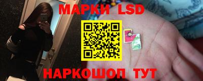 молекула духа Камышлов