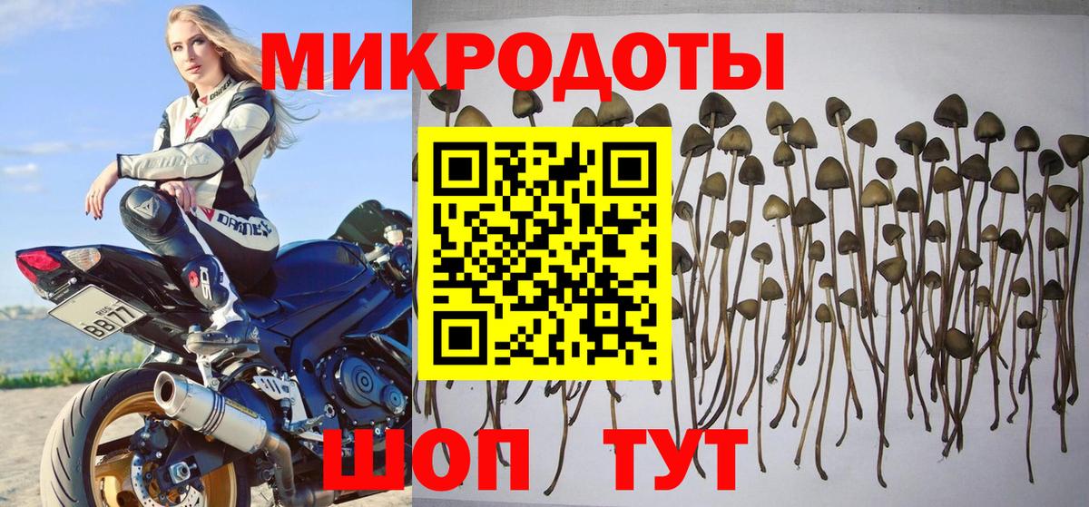 Псилоцибиновые грибы прущие грибы Краснокаменск